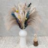 60/62/76/80/85/100pcs Boho Pampas Grass Bouquet Home Decor Floral Dried Flowers Wedding Arrangements Natural Reed Bunny Tails - 76pcs - China