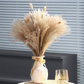 60/62/76/80/85/100pcs Boho Pampas Grass Bouquet Home Decor Floral Dried Flowers Wedding Arrangements Natural Reed Bunny Tails - 60pcs - China