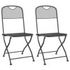 Folding Patio Chairs 2 pcs Expanded Metal Mesh Anthracite - Anthracite