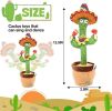 Dancing Cactus Toy Repeats What You Say Electronic Dancing with Lighting Toys Recording Singing Spanish Language Song for Kids - Battery Chinese song