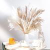 60/62/76/80/85/100pcs Boho Pampas Grass Bouquet Home Decor Floral Dried Flowers Wedding Arrangements Natural Reed Bunny Tails - 62pcs - China