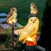 Solar Owl Garden Light Owl Solar Lamp Parrot Lawn Light Solar Lights Outdoor Solar Light Animal Pixie Lawn Lamp Waterproof Decor - Brown - China